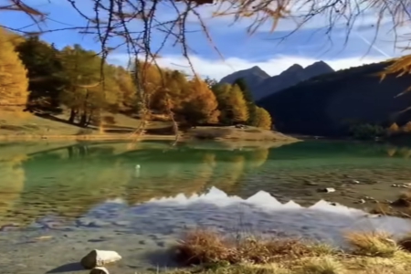 ��ؔ������Ĺ�˾����